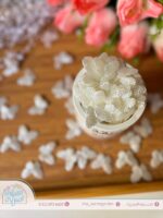 خرز أبيض فراشات تطريز - Image 4