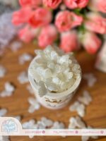 خرز أبيض فراشات تطريز - Image 2