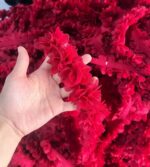 ورد تل نبيتي